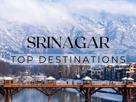 Top 12 Places to visit in Srinagar (Kashmir)