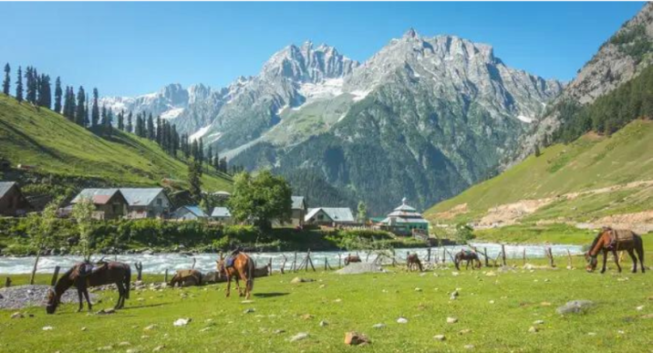 Kashmir: Where Fairytales Unfold - Unveiling the Valley's Allure for Dream Weddings