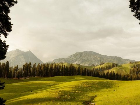 Golden Autumn & Winter White: Discover Kashmir’s Seasonal Splendor with JKL Travels