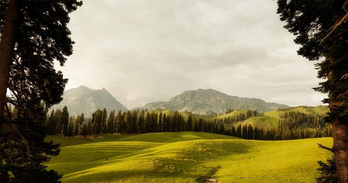 Golden Autumn & Winter White: Discover Kashmir’s Seasonal Splendor with JKL Travels