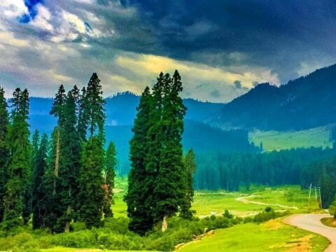 Kashmir Unveiled: A Resilient Paradise Beckons with Safety, Culture, and Untamed Beauty