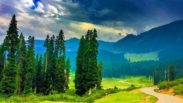 Kashmir Unveiled: A Resilient Paradise Beckons with Safety, Culture, and Untamed Beauty