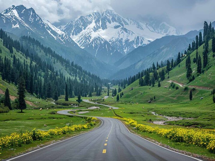 Wheels, Peaks, and Hidden Valleys: Conquering Kashmir’s Scenic Highways