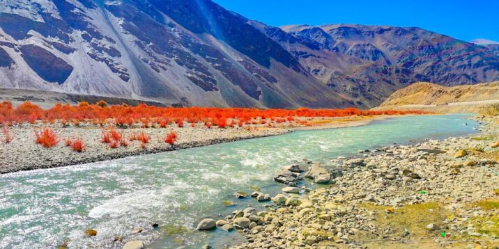 Discover Ladakh with JKL Travels: A Journey of Altitude, Culture & Soul