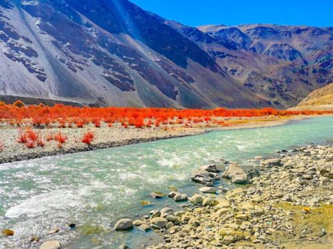 Discover Ladakh with JKL Travels: A Journey of Altitude, Culture & Soul