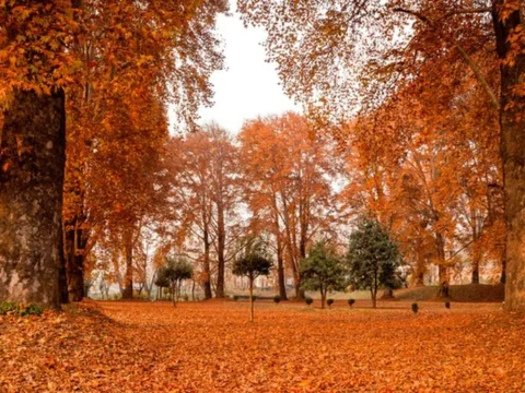 Explore Kashmir in Autumn – Book Your Dream Tour with JKL Travels