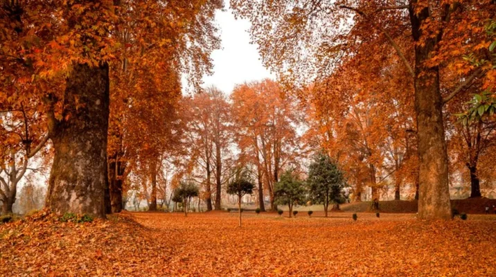 Explore Kashmir in Autumn – Book Your Dream Tour with JKL Travels
