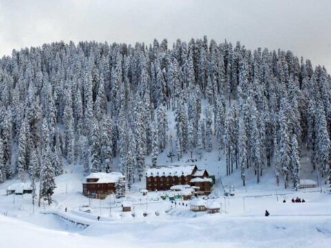 Best Time to Visit Kashmir for Snow, Tulips & Honeymoon (2025 - 2026 Guide)