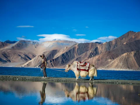 Ladakh Tour from Kashmir – Road Trip Itinerary & Travel Tips