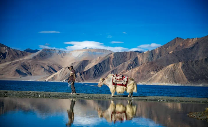 Ladakh Tour from Kashmir – Road Trip Itinerary & Travel Tips
