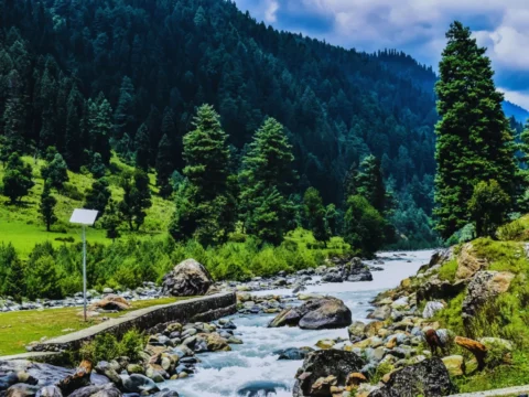 Top 5 Kashmir Tour Packages from Delhi, Mumbai & Bangalore