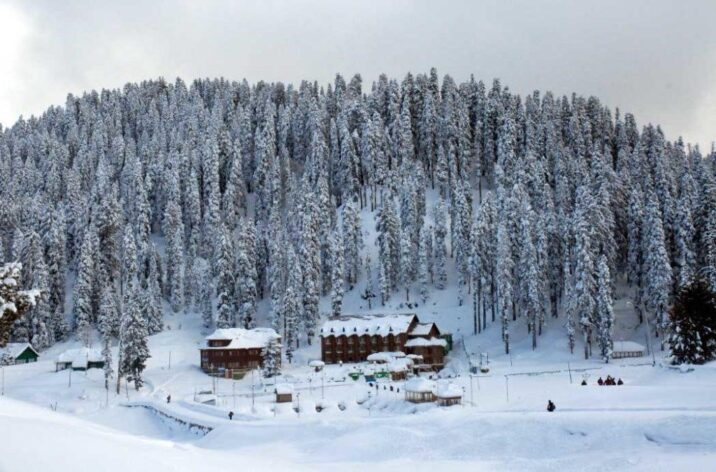 Best Time to Visit Kashmir for Snow, Tulips & Honeymoon (2025 - 2026 Guide)