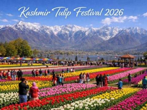 Kashmir Tulip Festival 2026 Tour Package 4N/5D @ ₹30,000 Couple