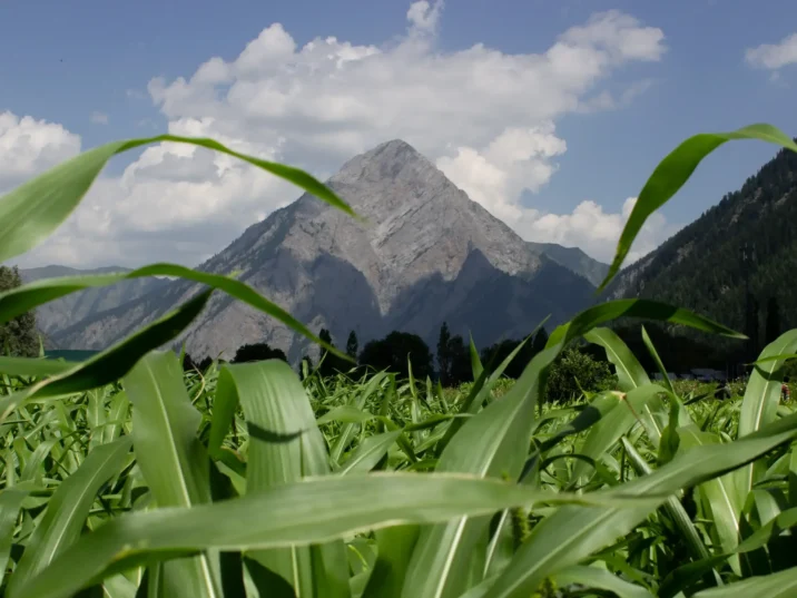 Hidden Kashmir 2026: Bangus, Lolab, Gurez, Chatpal & Tosa Maidan — The Complete Offbeat Valley Guide | JKL Travels
