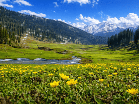 Kashmir's Famous Gardens: The Ultimate 2026 Travel Guide