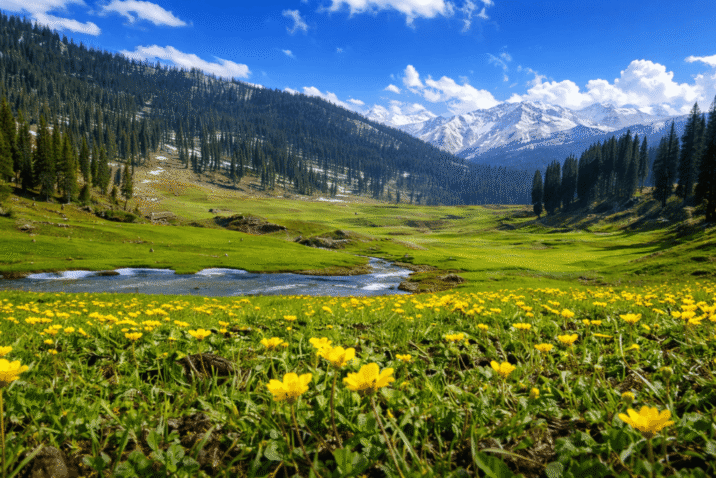 Kashmir's Famous Gardens: The Ultimate 2026 Travel Guide