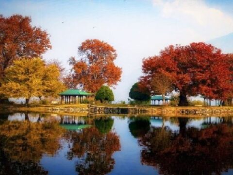 Kashmir in October & November: Chinar Colours, Mountain Escapes and the First Touch of Winter with JKL Travels
