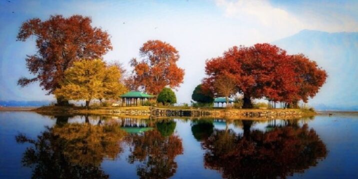 Kashmir in October & November: Chinar Colours, Mountain Escapes and the First Touch of Winter with JKL Travels