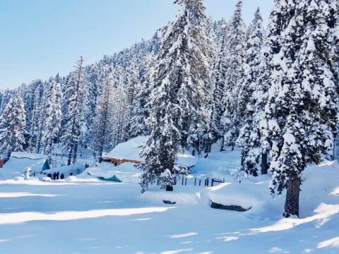 White Christmas in Gulmarg 2026: Snow, Skiing & the Ultimate Winter Escape