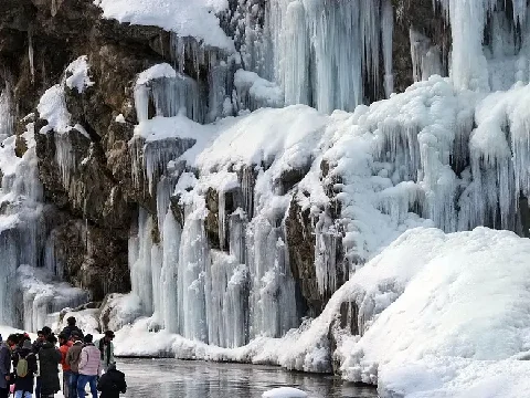 Is Kashmir Back? Everything You Need to Know Before You Book (2026–27)