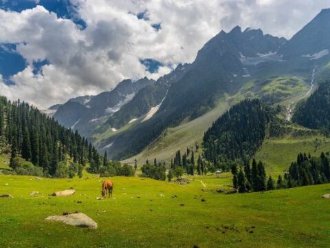 Kashmir That Fits Every Wallet: How to Plan a Beautiful Kashmir Holiday Without Overspending