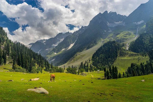 Kashmir That Fits Every Wallet: How to Plan a Beautiful Kashmir Holiday Without Overspending