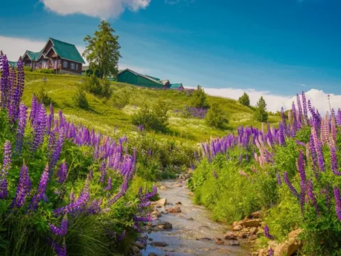 Kashmir Tour Packages 2026-27: Best Itineraries, Inclusions, Prices & Custom Holiday Packages