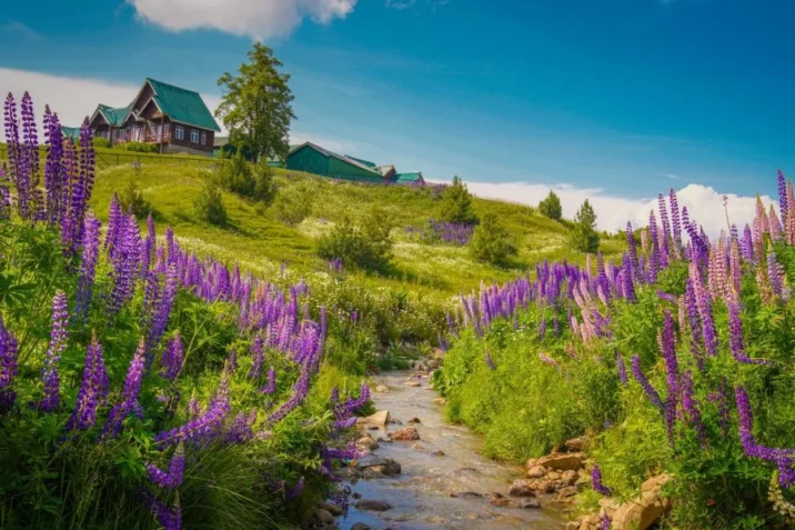Kashmir Tour Packages 2026-27: Best Itineraries, Inclusions, Prices & Custom Holiday Packages